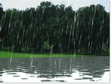 rain-fall-animation